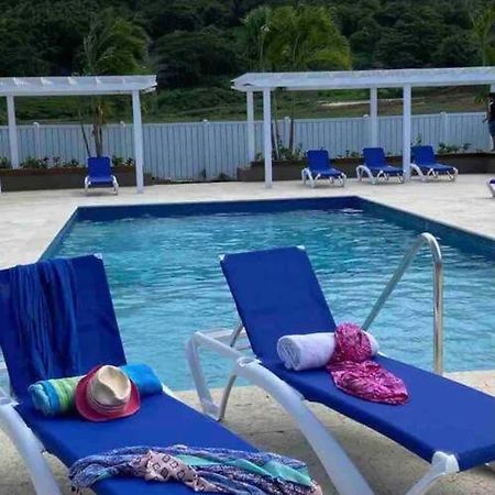 Natty'S Cozy Beach House In Hanover Jamaica Лусея Екстериор снимка