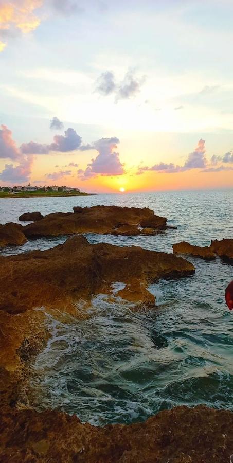 Natty'S Cozy Beach House In Hanover Jamaica Лусея Екстериор снимка